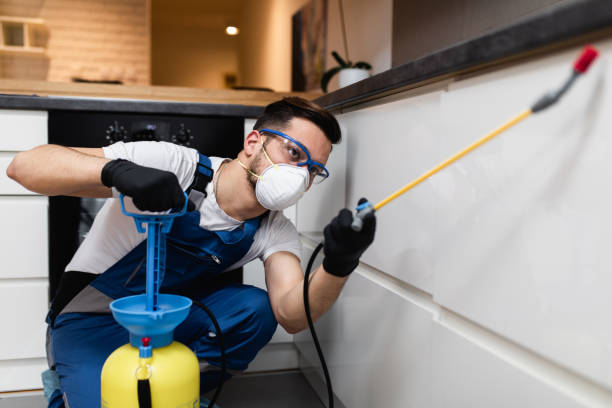 Best Pest Removal Services  in Grandview, OK