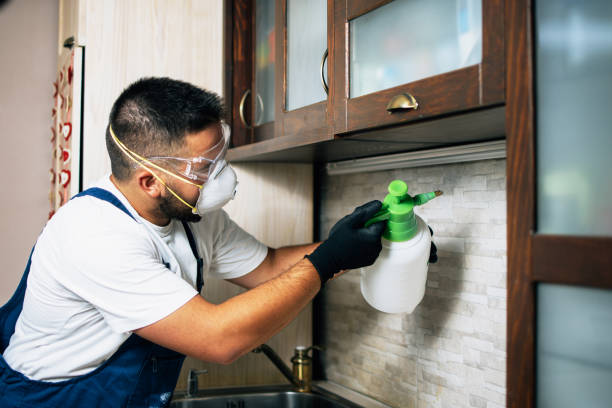 Best Commercial Pest Control Services  in Grandview, OK