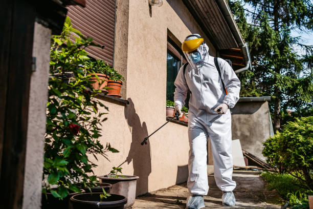 Best Best Pest Control Companies  in Grandview, OK