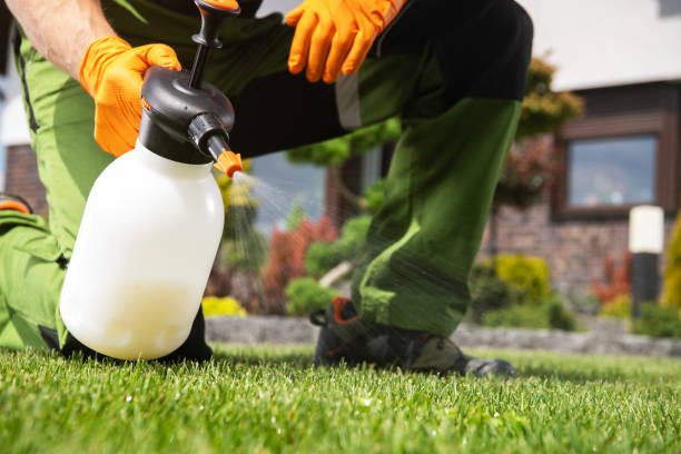 Best Mosquito Control Services  in Grandview, OK