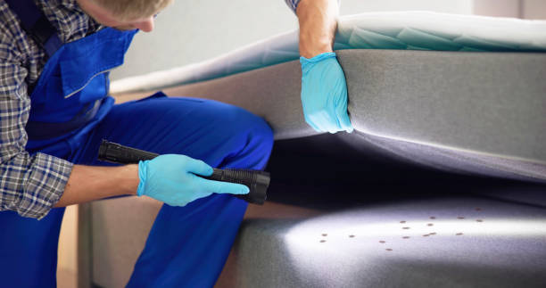 Best Emergency Pest Control  in Grandview, OK