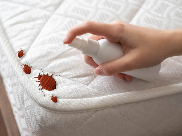 Best Local Pest Control Services  in Grandview, OK