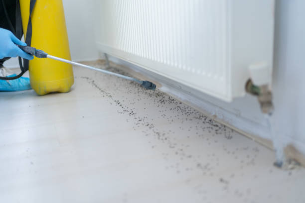 Best Pest Control for Businesses  in Grandview, OK