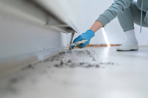 Wildlife Control Services in Grandview, OK