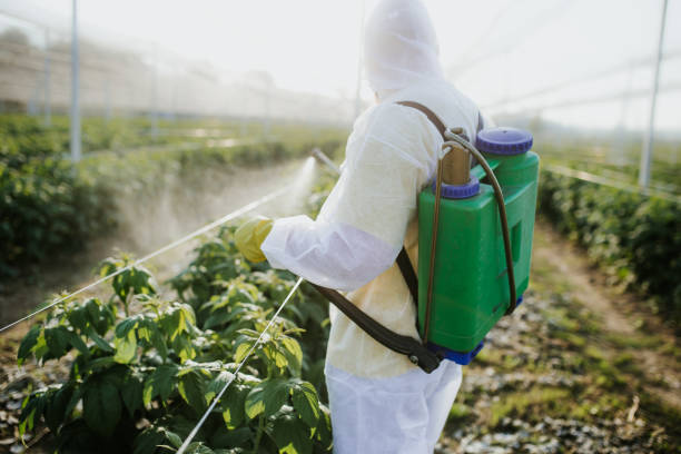 Best Affordable Pest Control Services  in Grandview, OK